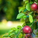 달임채한의원 이미지