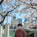 월드밸리공인중개사사무소 이미지