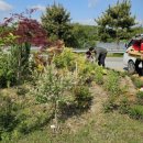 중앙탑면사무소 이미지