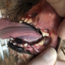 아마존동물병원 이미지