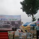 영동초등학교 이미지