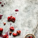 체리애견 이미지