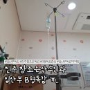참조은약국 | 임산부 B형 독감 증상 및 후기 + 진주 참조은 산부인과