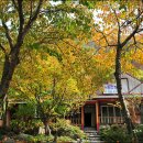 배내허브랜드 이미지