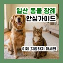 여지축산 | 일산 동물 장례, 믿을 수 있는 기준? 일산 동물 장례식장 비용 / 절차 총정리.