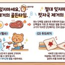 타임세탁소 | 옷에 묻은 핏자국 제거 방법 세탁소 가기 전 꼭 확인해야 할 골든타임