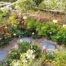 뚝섬한강공원-4 이미지