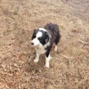 수하농장 이미지