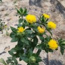 여주자영농업고등학교 이미지