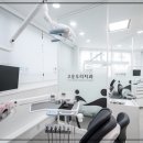 고운우리치과의원 네이버블로그