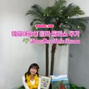 🌺 한국에서 하와이 여행 느낌 낭낭한 훌라수업 ‘나훌라’ 후기 (강남 취미 클래스)
