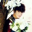 아로마 테라피 이미지