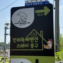 스테이뭉구 | 인천 영종도 애견동반 펜션 스테이뭉구 구름동 숙박 찐후기