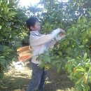 유안농장 이미지