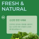 루시펫 | 강아지 트릿 저알러지 루시펫 힙 투비 스퀘어 오리 호박 솔직후기