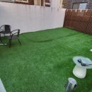 댕댕회관 이미지