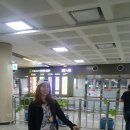 제주더와이 이미지