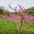 청명유치원 이미지