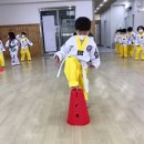 유나이티드 미르태권도장 이미지