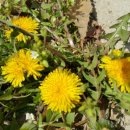 보은의집 이미지