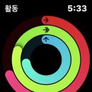 어바우코다리찜 이미지