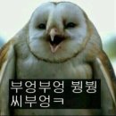 비즈닥터