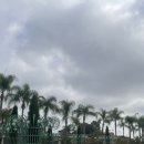 혜성민박 | LA 10일 여행기 9일차 마지막날 드디어 La디즈니랜드 당일치기 후기