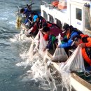 진도군청 이미지