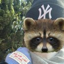 하남우리들약국 이미지