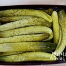 오이지 티스토리