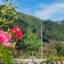 지리산 마리공방 이미지