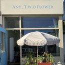 투애니투 | 싱싱함과 다양한 꽃이 많은 운양동 꽃집인 애니투 플라워에 다녀온 후기