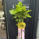 본도시락 북마산점 이미지