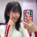 와일드 플라워 이미지