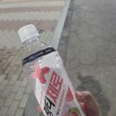 군산국제결혼상담소 | 2026년 6월