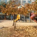 삼각어린이공원 이미지