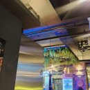 구도로통닭 원주무실점 | 구도로통닭 원주무실점 내돈내산