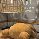 동문파크 이미지