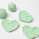 서귀중앙초등학교 병설유치원 이미지