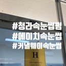 [인천/서구/청라] 유지력 좋은 에이치속눈썹 후기