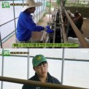 소밥주는남자 이미지