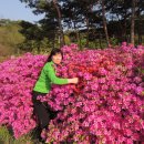 태안휴게소 이미지