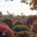 남원읍-122 이미지