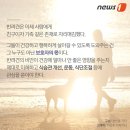 우리펫 이미지