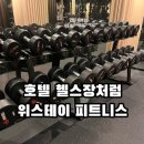 위스테이 휘트니스 | 가락동헬스장 추천 운동할 맛 나는 역세권 프리미엄 위스테이 피트니스 방문 후기