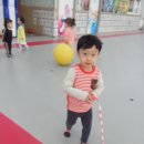 화창태권도장 이미지