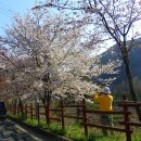 보령-미산-1 이미지