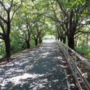 앙덕리 쉼터 이미지