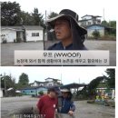 김광필농장 네이버블로그