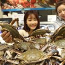 서해안마트 이미지